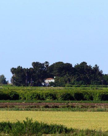 The Etrog agricultural premise in Yüreğir, Adana